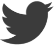 Twitter Icon